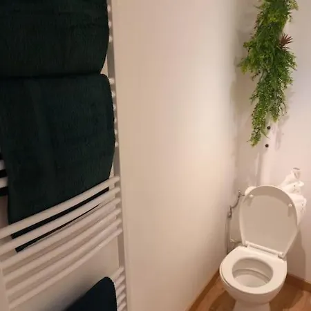 Le Accueil Viennois/t2/wifi/cosy/parking *