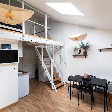 Apartman Le Accueil Viennois/t2/wifi/cosy/parking