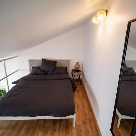 Le Accueil Viennois/t2/wifi/cosy/parking