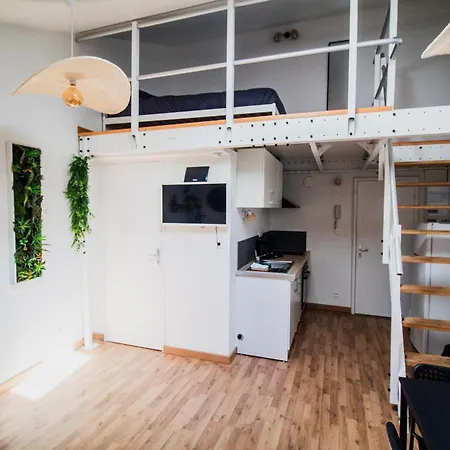 Apartman Le Accueil Viennois/t2/wifi/cosy/parking *