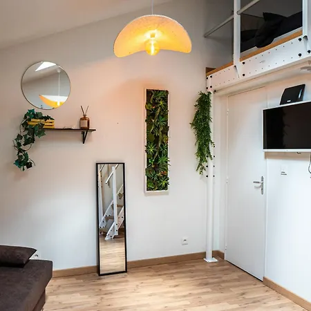 Apartmán Le Accueil Viennois/t2/wifi/cosy/parking