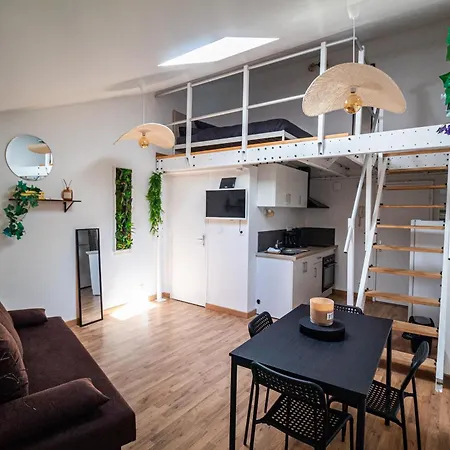 Apartmán Le Accueil Viennois/t2/wifi/cosy/parking Poitiers