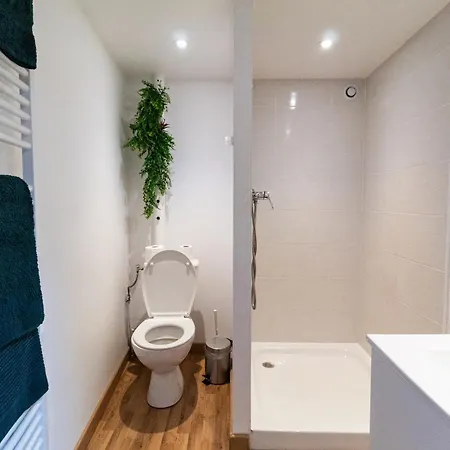 Le Accueil Viennois/t2/wifi/cosy/parking Apartmán Poitiers