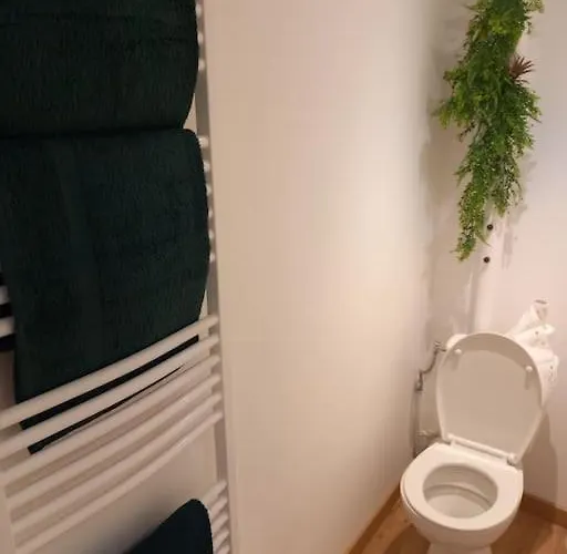 Le Accueil Viennois/t2/wifi/cosy/parking *