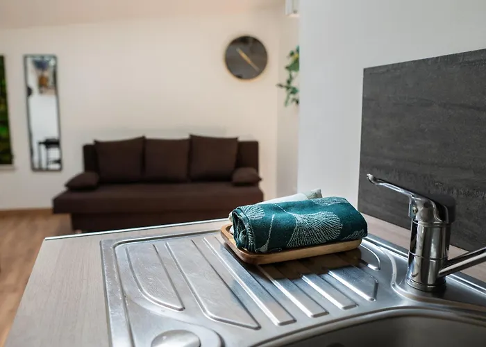 Le Accueil Viennois/t2/wifi/cosy/parking Poitiers