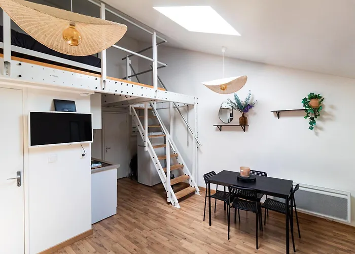 Apartment Le Accueil Viennois/t2/wifi/cosy/parking