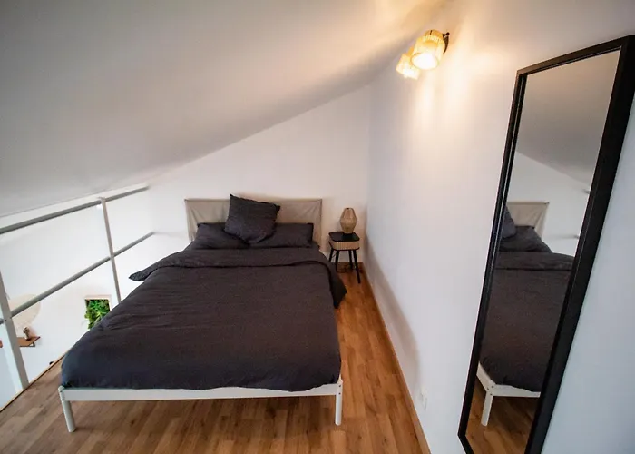 Le Accueil Viennois/t2/wifi/cosy/parking