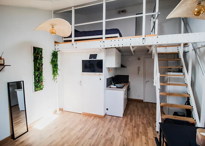 Apartment Le Accueil Viennois/t2/wifi/cosy/parking *