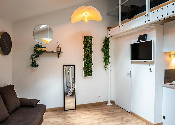 Apartment Le Accueil Viennois/t2/wifi/cosy/parking