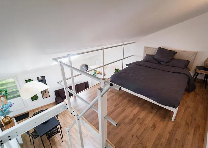 Le Accueil Viennois/t2/wifi/cosy/parking