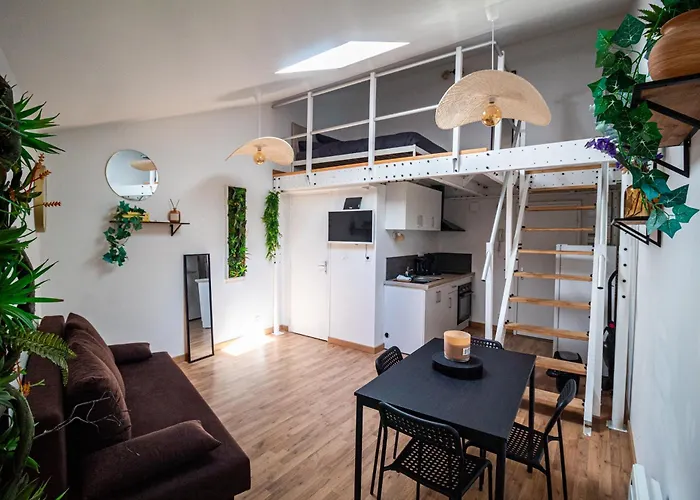 Apartment Le Accueil Viennois/t2/wifi/cosy/parking Poitiers