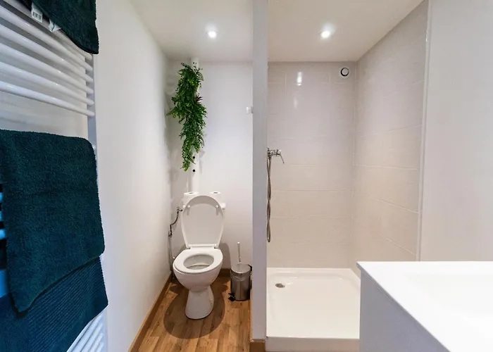 Le Accueil Viennois/t2/wifi/cosy/parking Apartment Poitiers