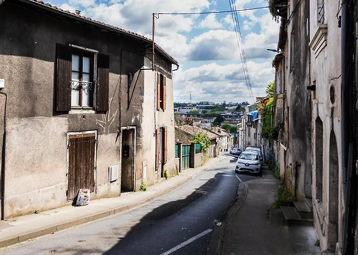 Apartment Le Accueil Viennois/t2/wifi/cosy/parking